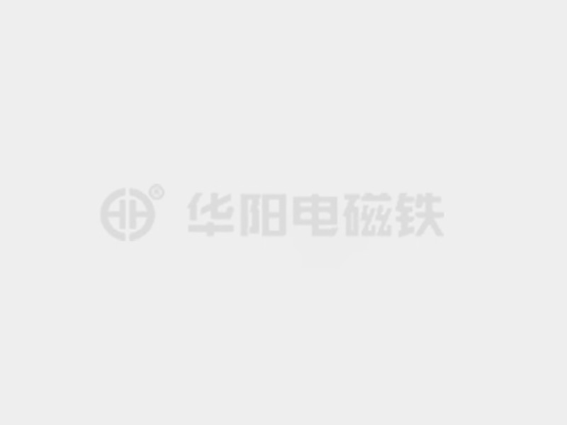 免费在线关看大黑鸡巴插B视频防爆电磁铁的储存和维护较佳实践！